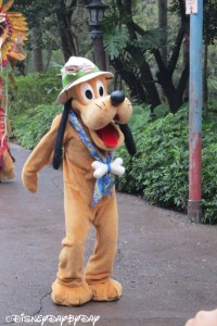 AK Pluto Hat