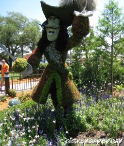 Epcot Flowers 2