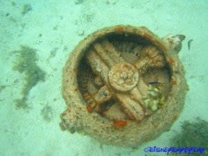 Castaway Cay Underwater 12
