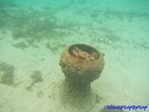 Castaway Cay Underwater 14