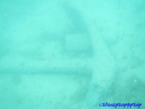 Castaway Cay Underwater 6