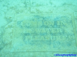 Castaway Cay Underwater 8
