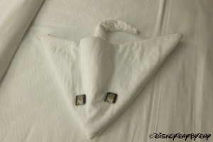 Disney Fantasy - Towel Art