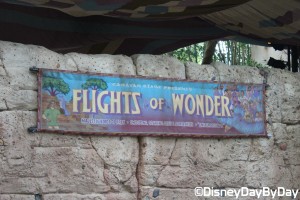 Animal Kingdom - Flights of Wonder 3