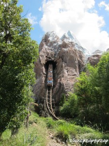 Expedition Everest 15