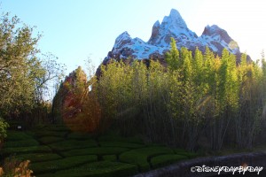 Expedition Everest 7