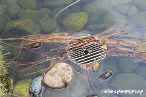 Epcot Japan Koi Pond Drain Hidden Mickey