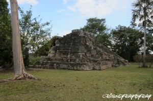 Chacchoben Mayan Ruins 43