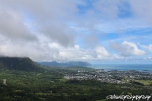 Oahu 3
