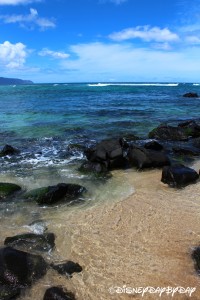 Oahu 4