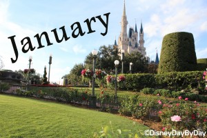 January Calendar Magic Kingdom