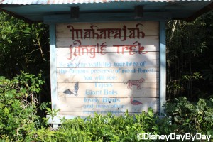 Animal Kingdom - Maharajah Jungle Trek 1
