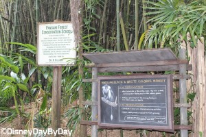 Animal Kingdom - Pangani Forest Exploration Trail 25
