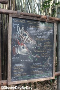 Animal Kingdom - Pangani Forest Exploration Trail 9