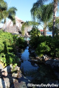 Disney Polynesian Resort - Pool 6