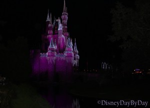 Disney Seasons - Christmas 1- DisneyDayByDay
