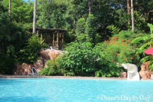 Animal Kingdom Lodge - Uzima Pool- 3 - DisneyDayByDay