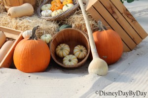 Hidden Mickey - Living with the Land -1- DisneyDayByDay