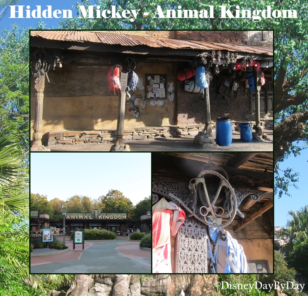 Hidden Mickey - Animal Kingdom - DisneyDayByDay