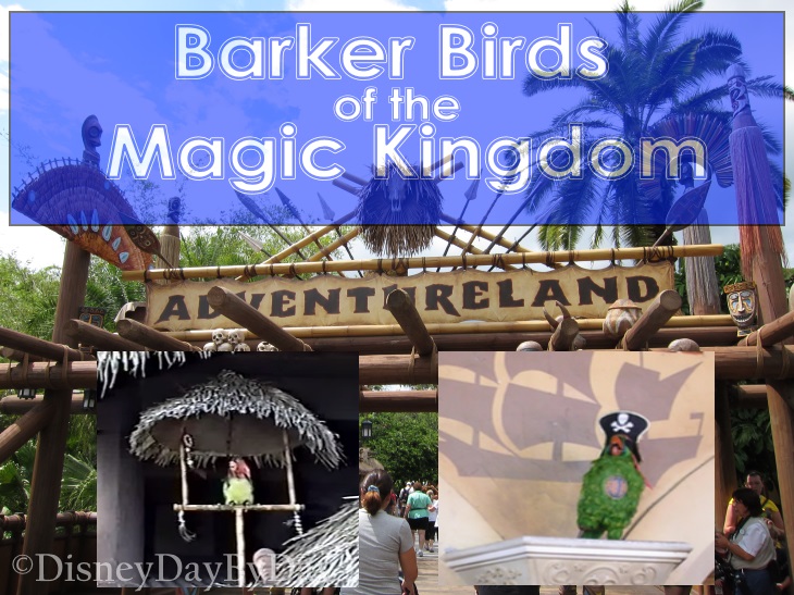 Barker Birds of the Magic Kingdom - DisneyDayByDay