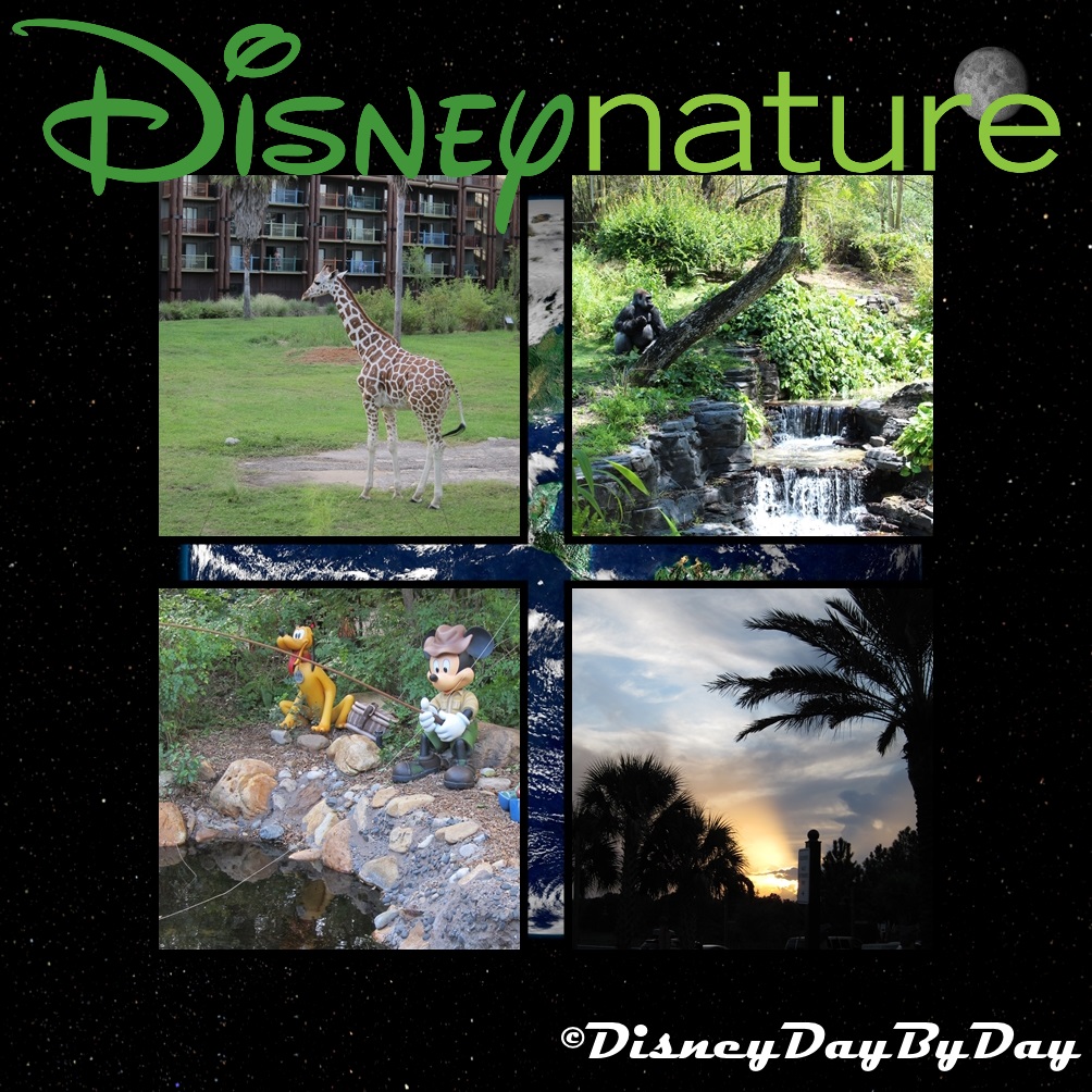 Disney Nature - Wordless Wednesday - DisneyDayByDay