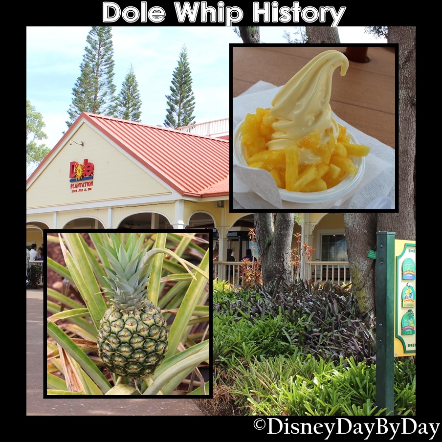 The Dole Whip - DisneyDayByDay